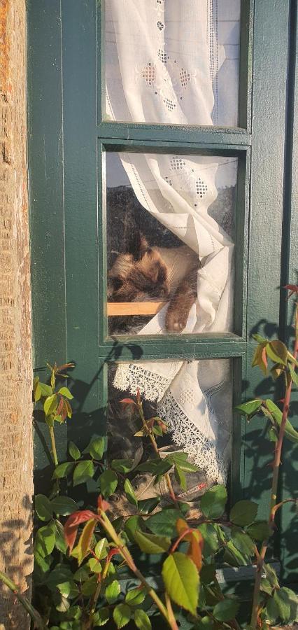 Quinta Do Chao D'Ordem Villa Vila Nova de Foz Côa Eksteriør bilde