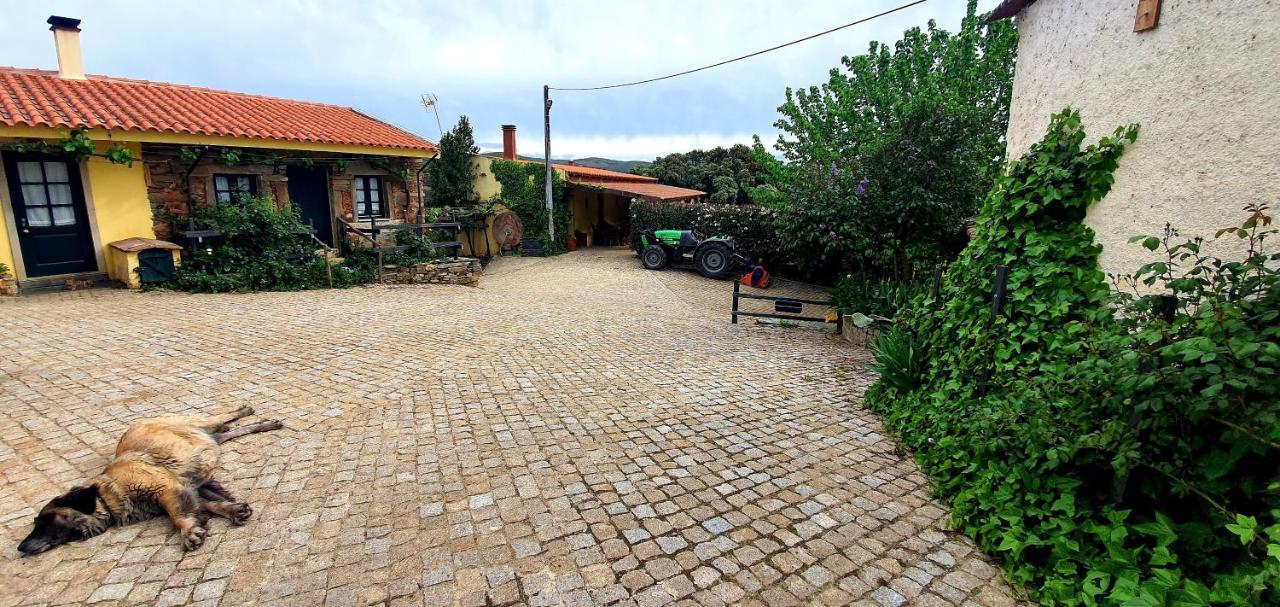 Quinta Do Chao D'Ordem Villa Vila Nova de Foz Côa Eksteriør bilde