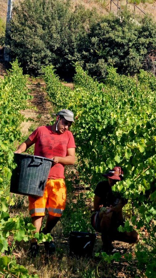 Quinta Do Chao D'Ordem Villa Vila Nova de Foz Côa Eksteriør bilde